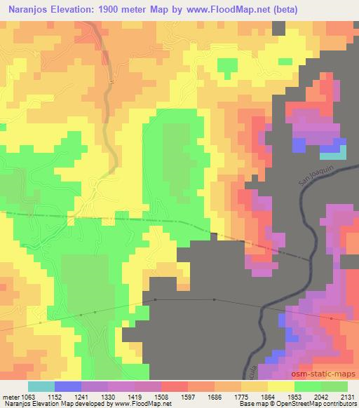 Naranjos,Mexico Elevation Map