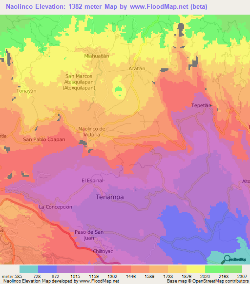 Naolinco,Mexico Elevation Map