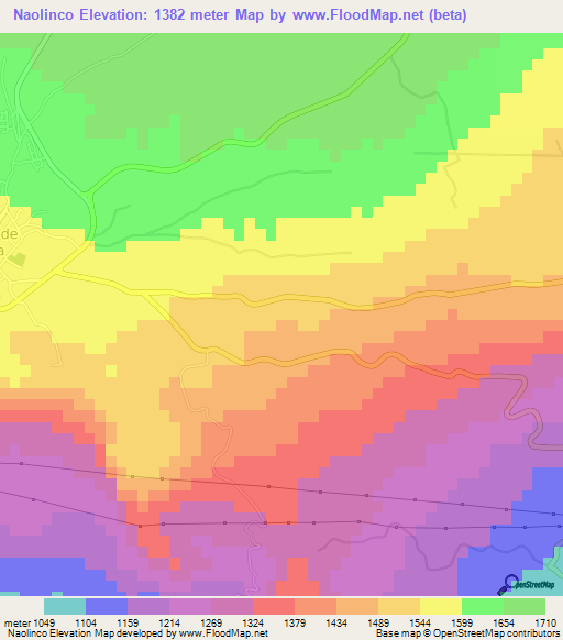 Naolinco,Mexico Elevation Map