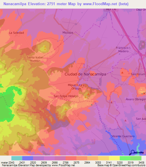Nanacamilpa,Mexico Elevation Map