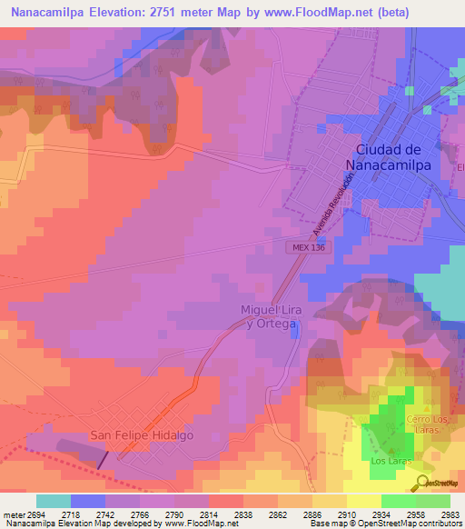 Nanacamilpa,Mexico Elevation Map