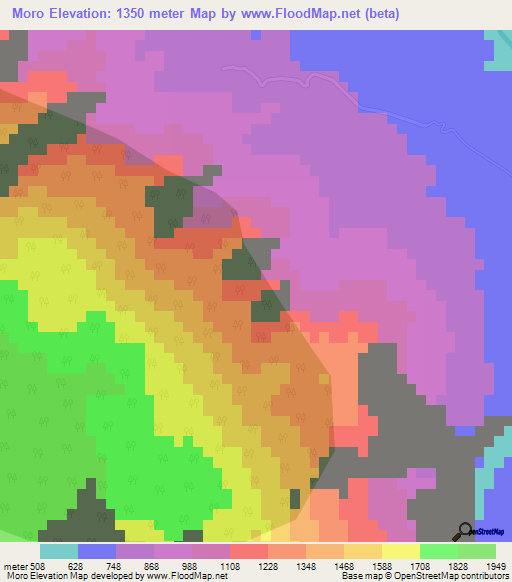 Moro,Mexico Elevation Map