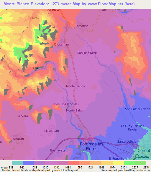 Monte Blanco,Mexico Elevation Map
