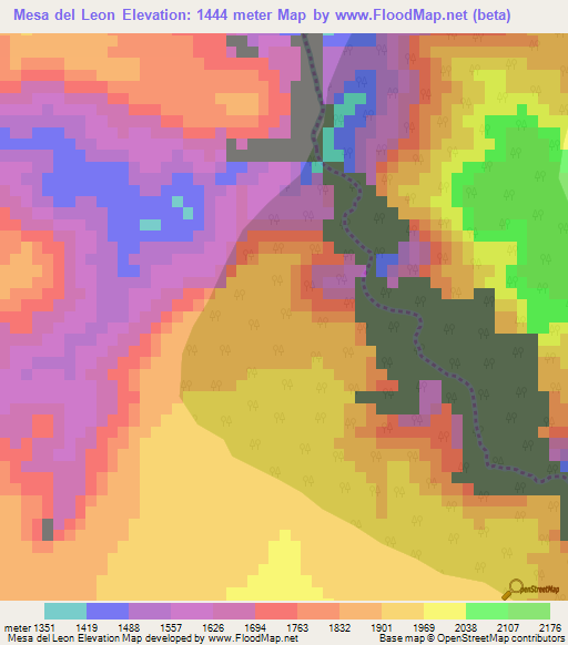 Mesa del Leon,Mexico Elevation Map