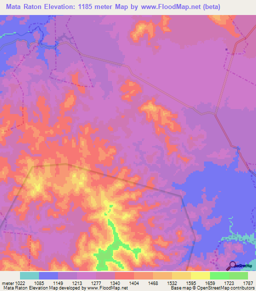 Mata Raton,Mexico Elevation Map