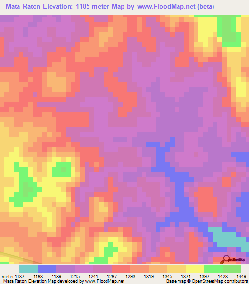 Mata Raton,Mexico Elevation Map