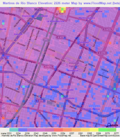 Martires de Rio Blanco,Mexico Elevation Map