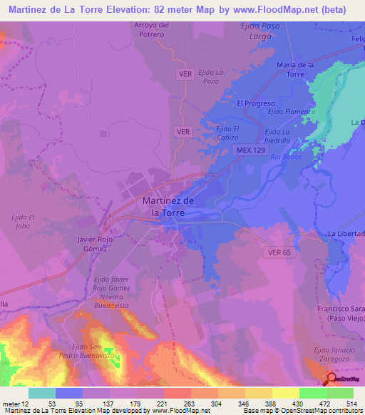 Martinez de La Torre,Mexico Elevation Map