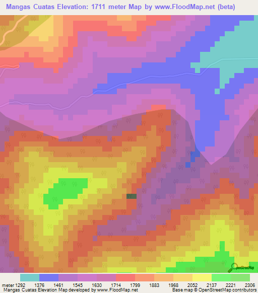 Mangas Cuatas,Mexico Elevation Map