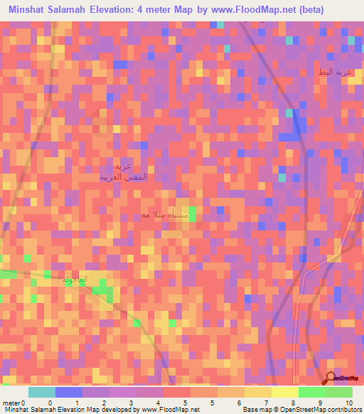 Minshat Salamah,Egypt Elevation Map