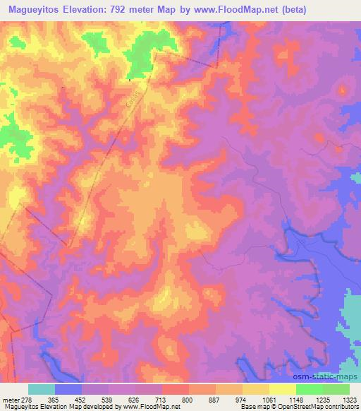 Magueyitos,Mexico Elevation Map