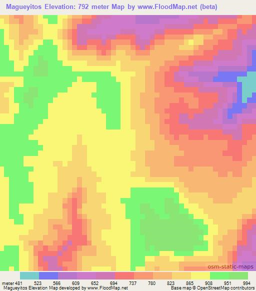 Magueyitos,Mexico Elevation Map