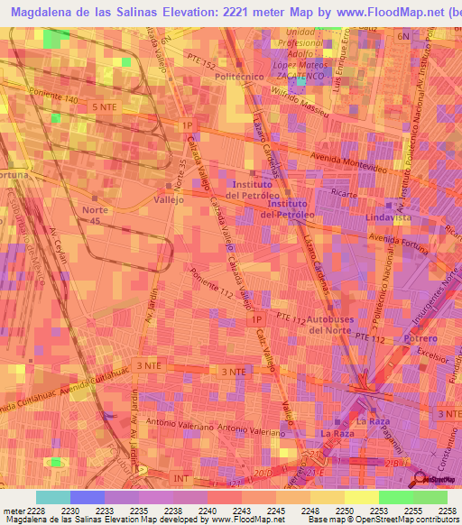 Magdalena de las Salinas,Mexico Elevation Map