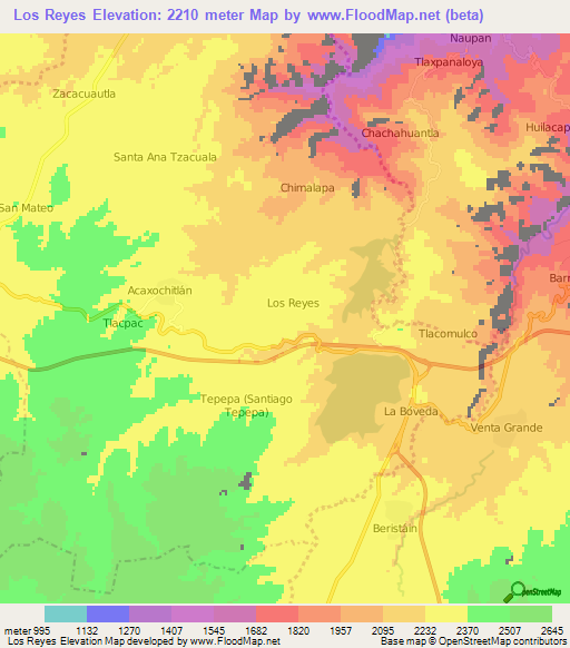 Los Reyes,Mexico Elevation Map