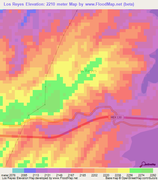 Los Reyes,Mexico Elevation Map