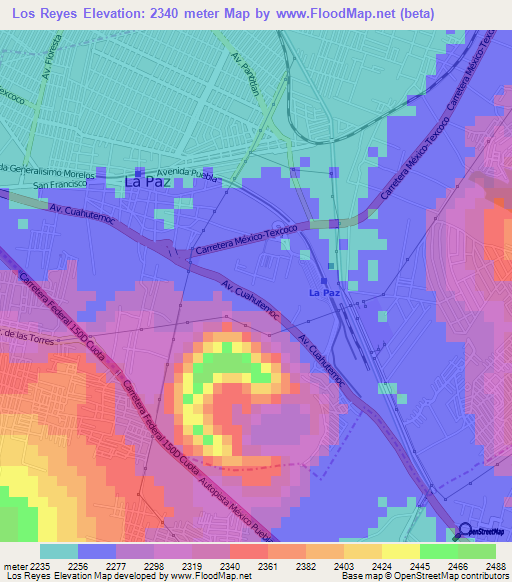 Los Reyes,Mexico Elevation Map