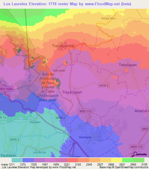 Los Laureles,Mexico Elevation Map