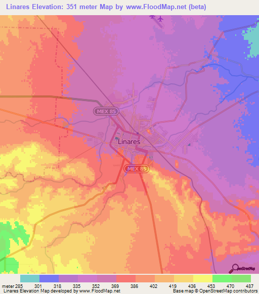 Linares,Mexico Elevation Map