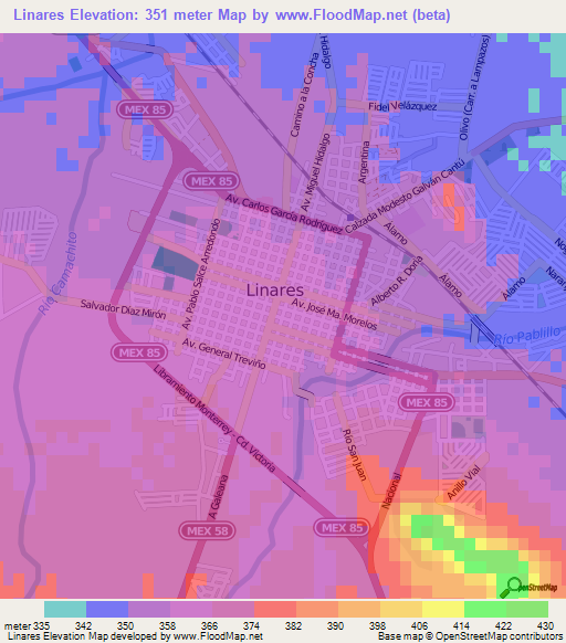 Linares,Mexico Elevation Map