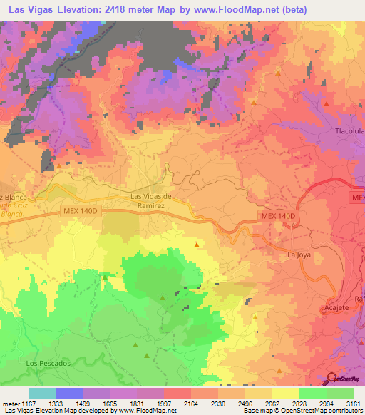 Las Vigas,Mexico Elevation Map