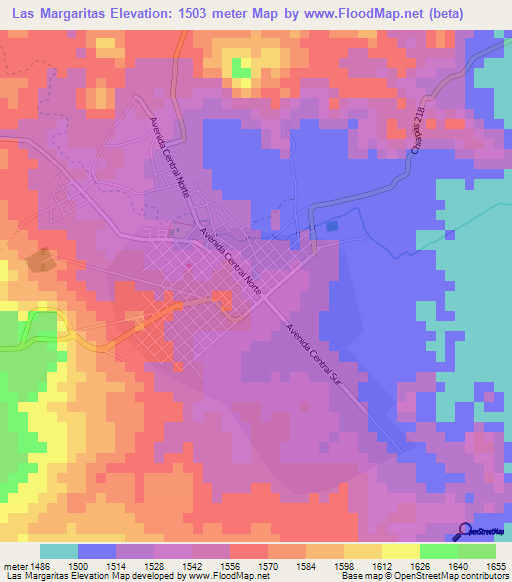 Las Margaritas,Mexico Elevation Map