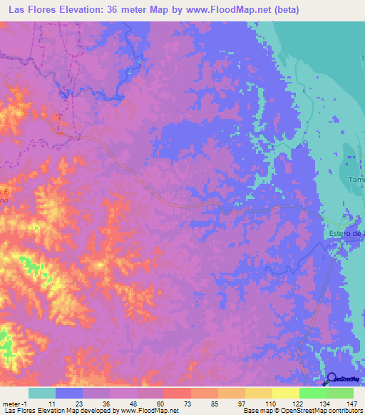 Las Flores,Mexico Elevation Map