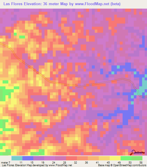 Las Flores,Mexico Elevation Map