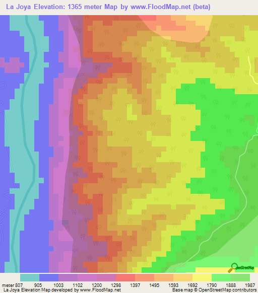 La Joya,Mexico Elevation Map