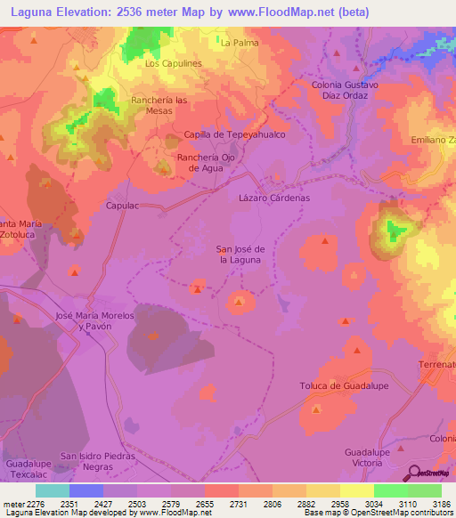 Laguna,Mexico Elevation Map
