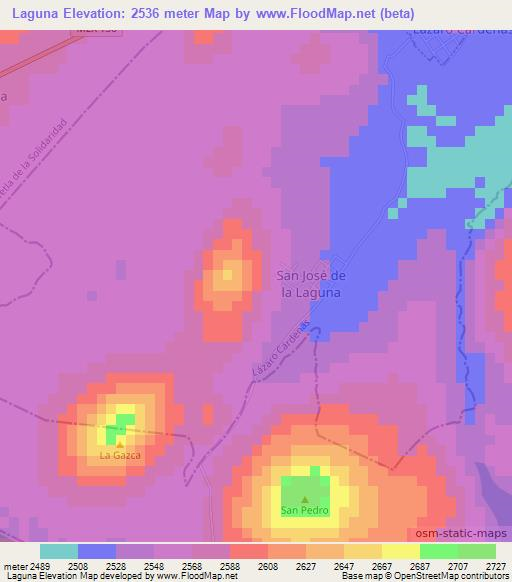 Laguna,Mexico Elevation Map