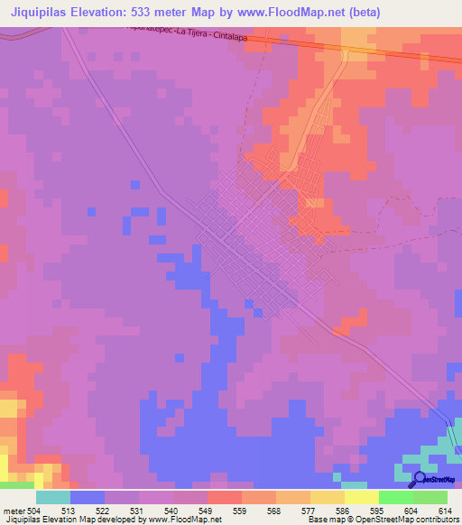 Jiquipilas,Mexico Elevation Map