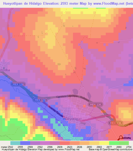 Hueyotlipan de Hidalgo,Mexico Elevation Map