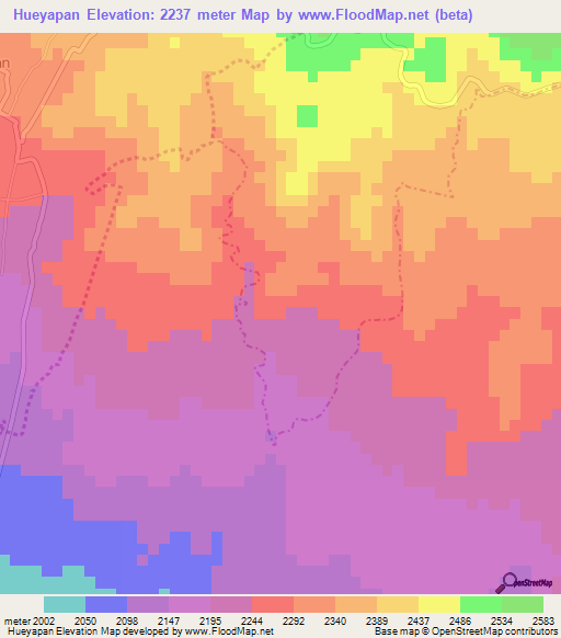 Hueyapan,Mexico Elevation Map