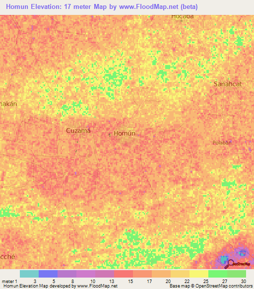 Homun,Mexico Elevation Map