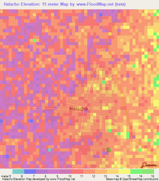 Halacho,Mexico Elevation Map