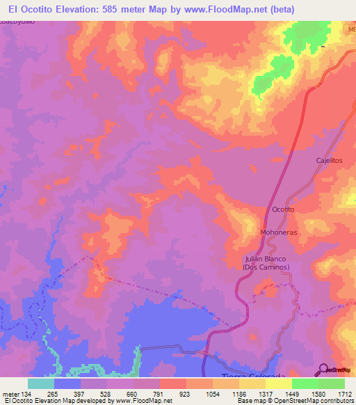 El Ocotito,Mexico Elevation Map