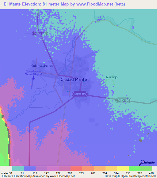 El Mante,Mexico Elevation Map