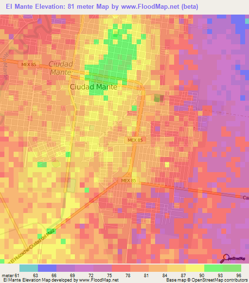 El Mante,Mexico Elevation Map