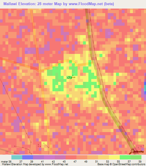 Mallawi,Egypt Elevation Map