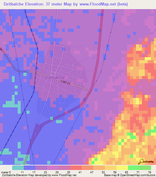 Dzitbalche,Mexico Elevation Map