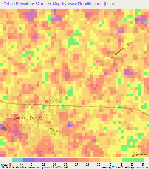 Dzitas,Mexico Elevation Map