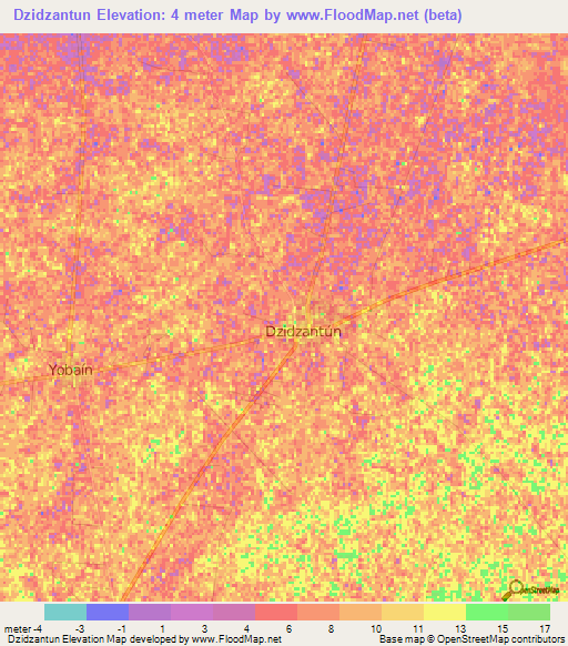 Dzidzantun,Mexico Elevation Map