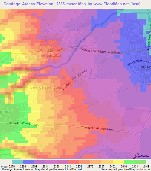 Domingo Arenas,Mexico Elevation Map