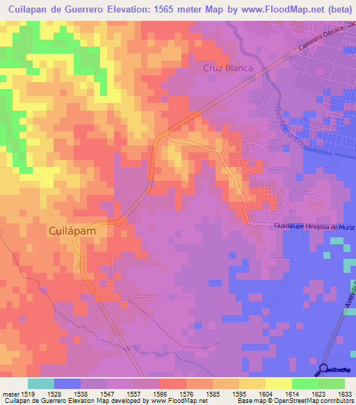 Cuilapan de Guerrero,Mexico Elevation Map