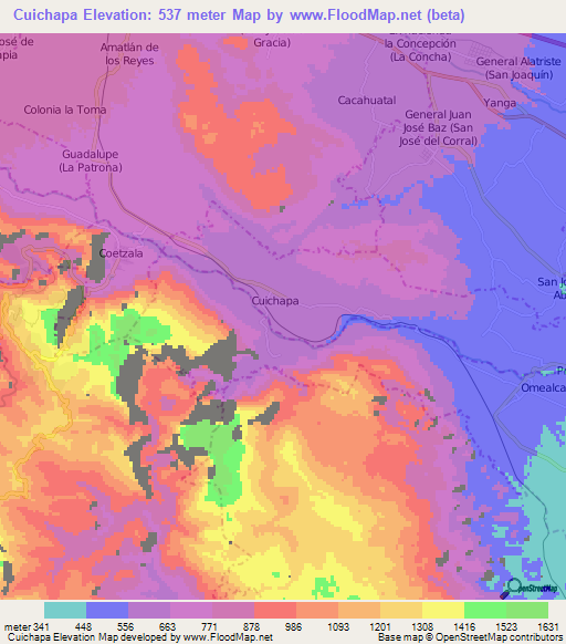 Cuichapa,Mexico Elevation Map