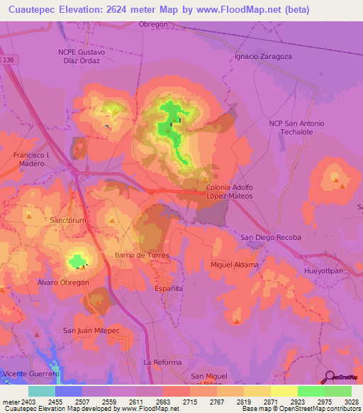 Cuautepec,Mexico Elevation Map