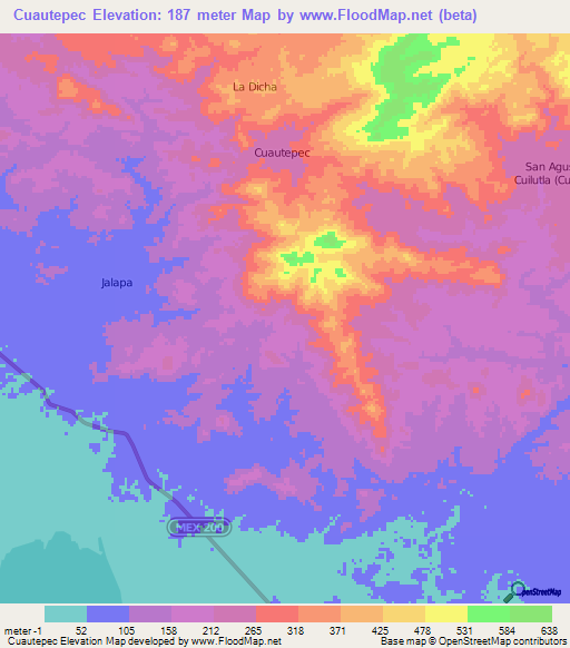 Cuautepec,Mexico Elevation Map