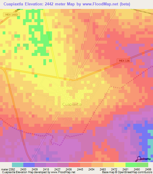 Cuapiaxtla,Mexico Elevation Map