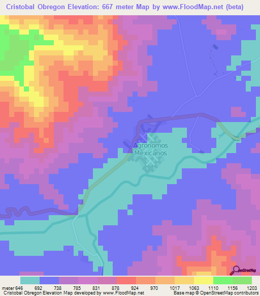 Cristobal Obregon,Mexico Elevation Map