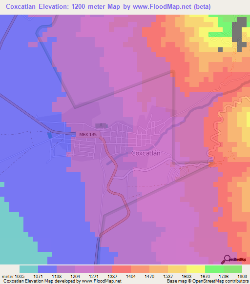 Coxcatlan,Mexico Elevation Map